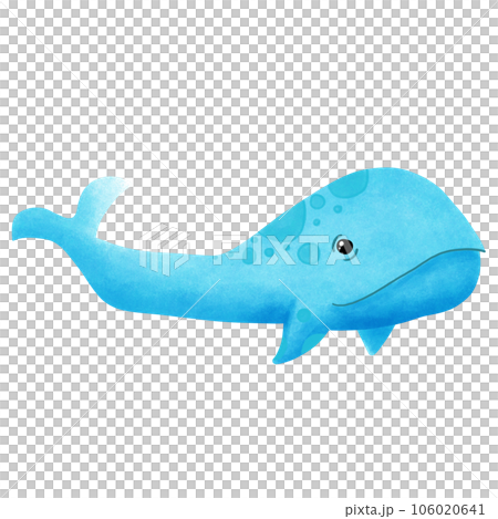 Whale Whale 106020641