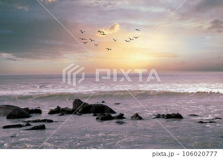 The beautiful sea is visible, birds are flying in the sky, the sun is setting 106020777