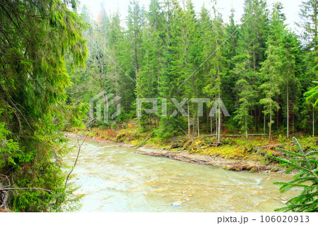 mountainous river in the forest of Carpathian mountains 106020913