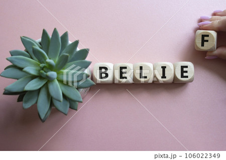 Belief symbol. Concept word Belief on wooden cubes. Businessman hand. Beautiful pink background with succulent plant. Business and Belief concept. Copy space. 106022349