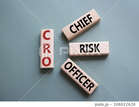 CRO - Chief Risk Officer symbol. Concept word CRO on wooden cubes. Beautiful grey green background. Business and CRO concept. Copy space. 106022626