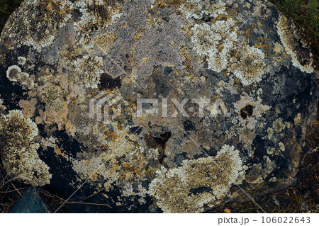 Old gray stone with ancient lichen, natural texture, organic backdrop Old gray stone with ancient lichen, natural texture, organic backdrop 106022643