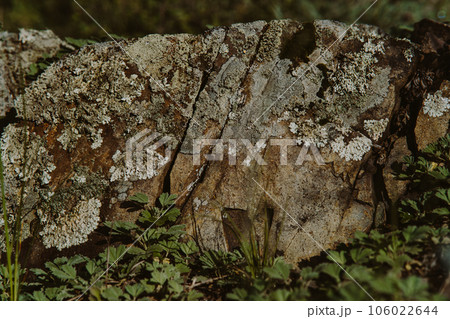 Texture of mossy mountain rock, rocky surface with ancient moss 106022644