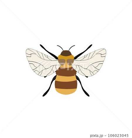 Cartoon bee mascot. A small bees flies. Wasp collection. Vector characters. Incest icon. Template design for invitation, cards. Doodle style Cartoon bee mascot. A small bees flies. Wasp collection. Vector characters. Incest icon. Template design for invitation, cards. Doodle style 106023045
