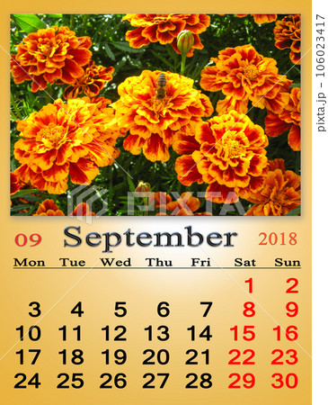 calendar for September 2018 with photo of marigolds 106023417