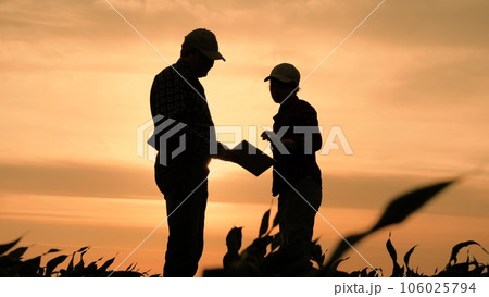 silhouette two farmers work tablet, farming, teamwork group people, contract handshake agreement, plantation successful agribusiness handshake collaboration brightly sunlight farmland corn farmers silhouette two farmers work tablet, farming, teamwork group people, contract handshake agreement, plantation successful agribusiness handshake collaboration brightly sunlight farmland corn farmers 106025794