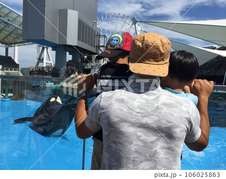 名古屋港水族館　遊ぶシャチとその様子を観る親子 106025863