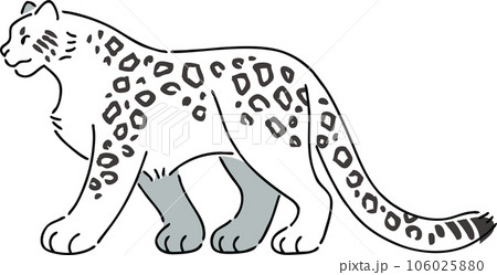 手描きのユキヒョウのイラストのイラスト素材 [106025880] - PIXTA