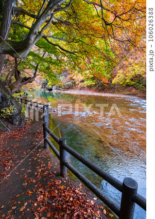 湯瀬渓谷(秋) 湯瀬渓谷(秋) 106026388