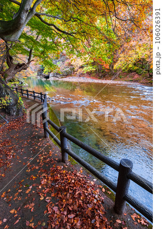 湯瀬渓谷（秋） 106026391