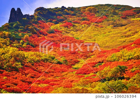 北海道 大雪山系 黒岳の紅葉の風景 北海道 大雪山系 黒岳の紅葉の風景 106026394