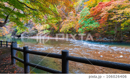 湯瀬渓谷（秋） 106026406