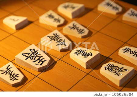 将棋（名人戦第1局投了棋譜） 106026584