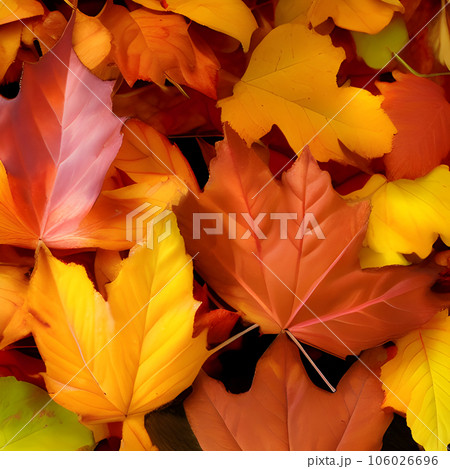 Autumn orange, leaves fall random background,...のイラスト素材 [106026696] - PIXTA