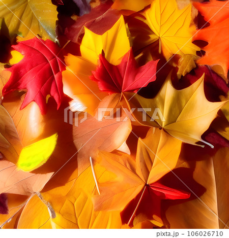 Autumn orange, leaves fall random background,...のイラスト素材 [106026710] - PIXTA