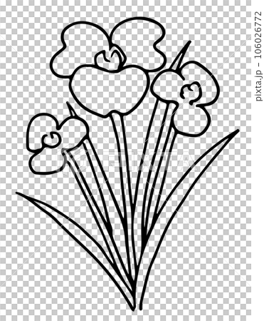 菖蒲の花線画 菖蒲の花線画 106026772