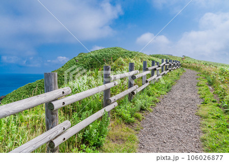 （北海道）神威岬　岬へ続く道 106026877