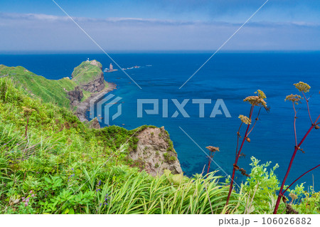 (北海道)神威岬 岬へ続く道 (北海道)神威岬 岬へ続く道 106026882