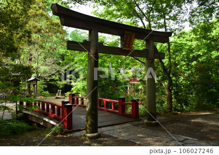 氷川神社 106027246