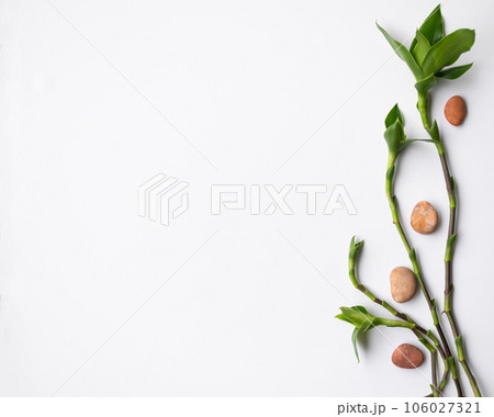 Background Spa concept,Flat lay Green Leaves with Pebble on White Table Background with Free space,Growth Plant Tree Aroma Therapy Massage Spa Set Backdrop. Background Spa concept,Flat lay Green Leaves with Pebble on White Table Background with Free space,Growth Plant Tree Aroma Therapy Massage Spa Set Backdrop. 106027321