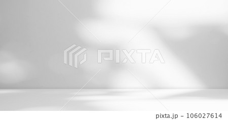 Abstract Shadow Leaves Gray Cement Room Stodio Background,Sunlight Reflection Overlay Backdrop,Blank Counter Bar Floor Room,Empty Table Free Space for add Product presentation,Mock Up Nature Template. 106027614