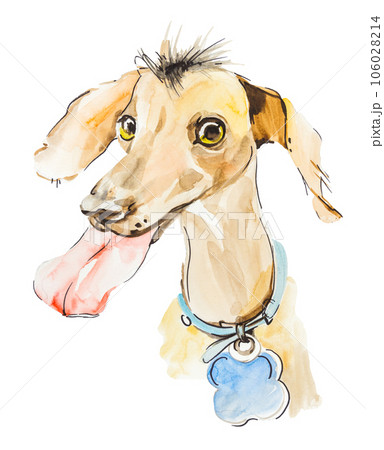 Ridiculous puppy. Watercolor hand drawn illustration isolated Ridiculous puppy. Watercolor hand drawn illustration isolated 106028214