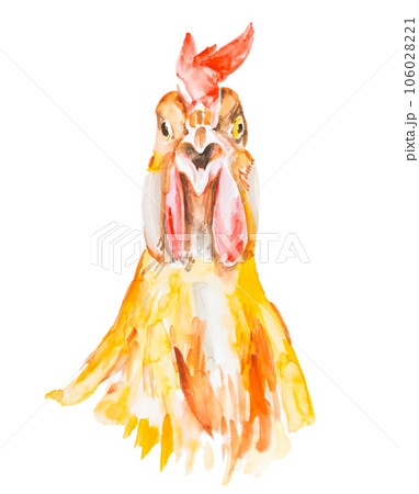 Rooster watercolor illustration isolated on a white background 106028221