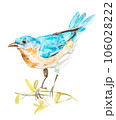 Little blue bird, watercolor hand painting on isolated white background 106028222