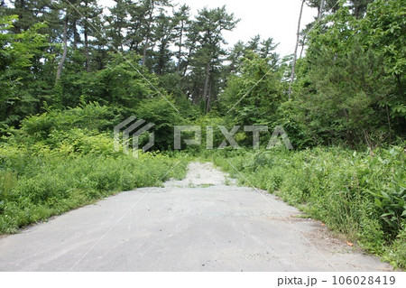 田舎の一本道 田舎の一本道 106028419