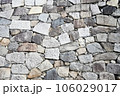 名古屋城のカラフルな城壁の背景 106029017