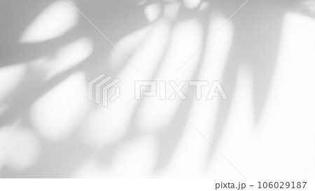 Blur Overlay Shadow Leaves Background,Abstract Sunlight effect Nature on Gray Cement Backdrop,Mock Up Display Free Space for add Products presentation,Structure Concrete Material Floor Construction. Blur Overlay Shadow Leaves Background,Abstract Sunlight effect Nature on Gray Cement Backdrop,Mock Up Display Free Space for add Products presentation,Structure Concrete Material Floor Construction. 106029187