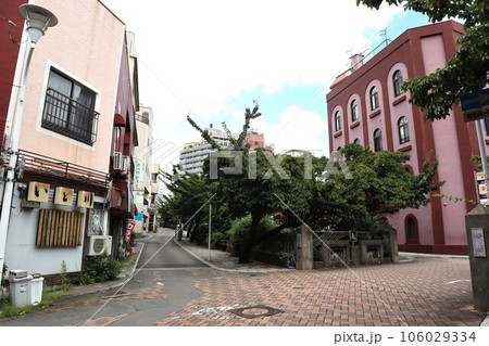 糸川に架かる桜橋（静岡県熱海市中央町） 106029334