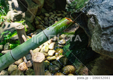 殿ヶ谷戸庭園の鹿威し 殿ヶ谷戸庭園の鹿威し 106032081