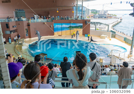 市立しものせき水族館 海響館のイルカショー 106032096
