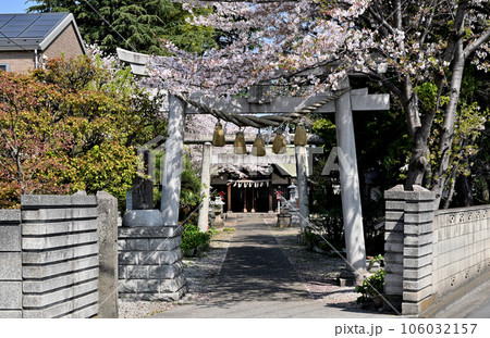 川口散歩:上青木氷川神社 川口市上青木 川口散歩:上青木氷川神社 川口市上青木 106032157