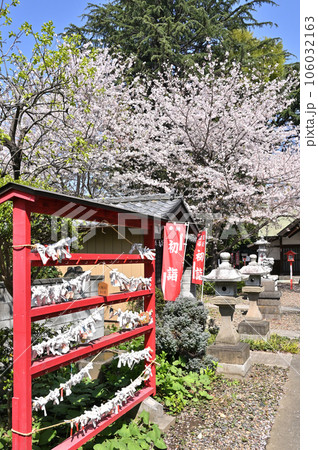 川口散歩:上青木氷川神社 川口市上青木 川口散歩:上青木氷川神社 川口市上青木 106032163