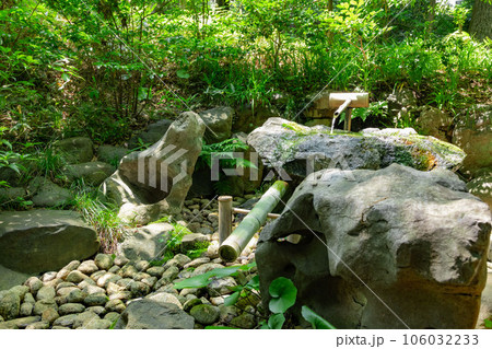 殿ヶ谷戸庭園の鹿威し 殿ヶ谷戸庭園の鹿威し 106032233