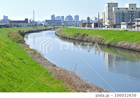 川口散歩:芝川 一級河川 川口市上青木 川口散歩:芝川 一級河川 川口市上青木 106032656