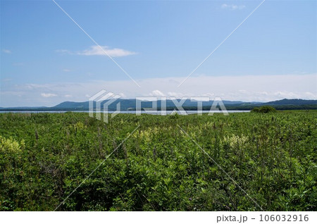 キムアネップ岬の風景 106032916