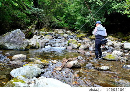 河津川の平滑ノ滝付近で渓流釣りをする釣り人 106033064