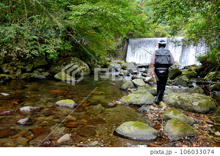 河津川の平滑ノ滝付近で渓流釣りをする釣り人 106033074