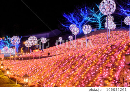 ローザンベリー多和田 ひかり奏でる丘 イルミネーション ローザンベリー多和田 ひかり奏でる丘 イルミネーション 106033261