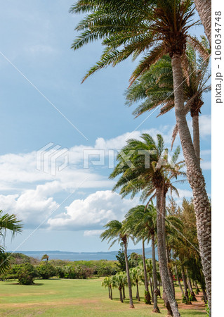 View of Eluanbi Park and seascape in Kenting, Taiwan 106034748