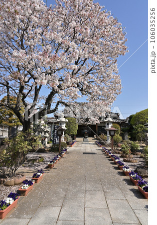 川口散歩:法福寺 真言宗智山派 川口市里 川口散歩:法福寺 真言宗智山派 川口市里 106035256