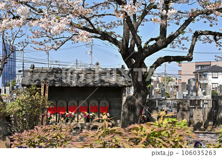 川口散歩：法福寺　真言宗智山派  川口市里 106035263