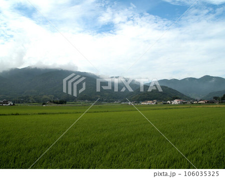 山脈の上昇気流　糸島の田園風景 106035325
