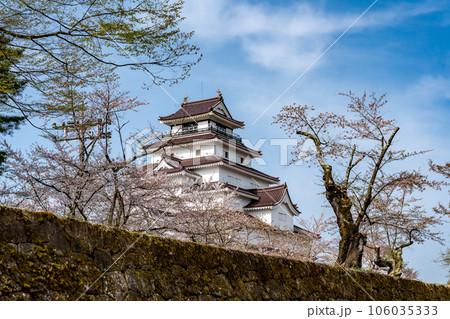 福島県会津若松市 桜咲く春の会津若松城の天守閣と石垣 福島県会津若松市 桜咲く春の会津若松城の天守閣と石垣 106035333