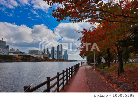 Aerial View of Autumn Centum City, Haeundae, Busan, South korea, Asia Aerial View of Autumn Centum City, Haeundae, Busan, South korea, Asia 106035398