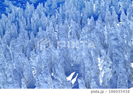 大迫力の樹氷原パノラマ　　蔵王の樹氷 106035438