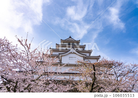 福島県会津若松市 桜咲く春の会津若松城の天守閣と石垣 福島県会津若松市 桜咲く春の会津若松城の天守閣と石垣 106035513